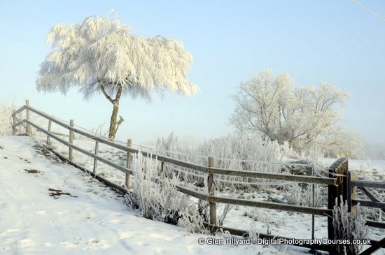 Frosty Smeeton Westerby