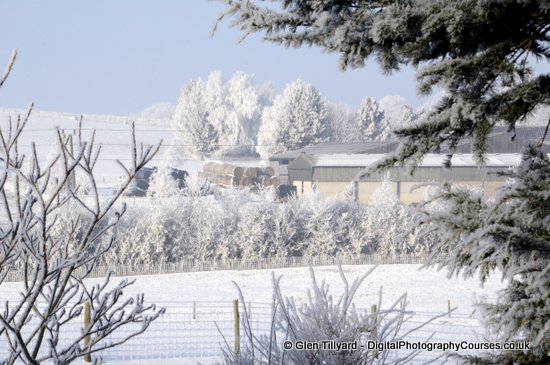 Frosty Smeeton Westerby