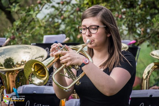 Brass on the Grass 2017