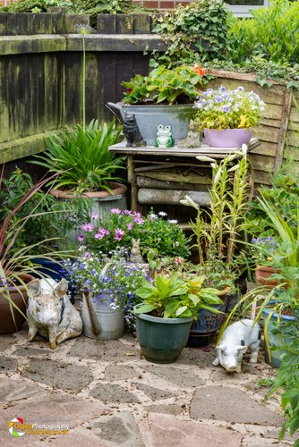 Smeeton Westerby Open Gardens 2017