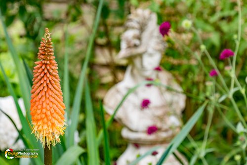 Smeeton Westerby Open Gardens 2017