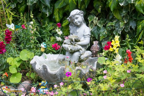 Smeeton Westerby Open Gardens 2017