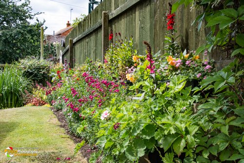 Smeeton Westerby Open Gardens 2017