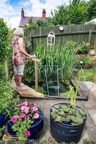 Smeeton Westerby Open Gardens 2017