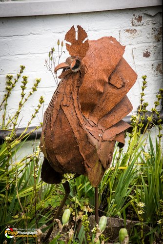 Smeeton Westerby Open Gardens 2017