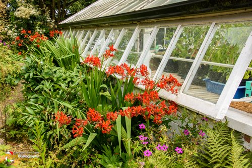 Smeeton Westerby Open Gardens 2017