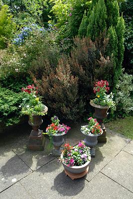 Garden7-07.JPG