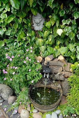 Garden9-10.JPG