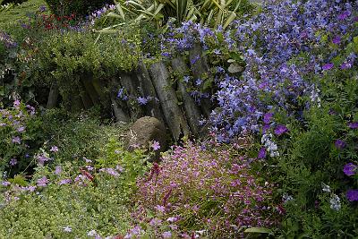 Garden15-01.JPG