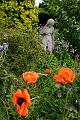 Garden15-04